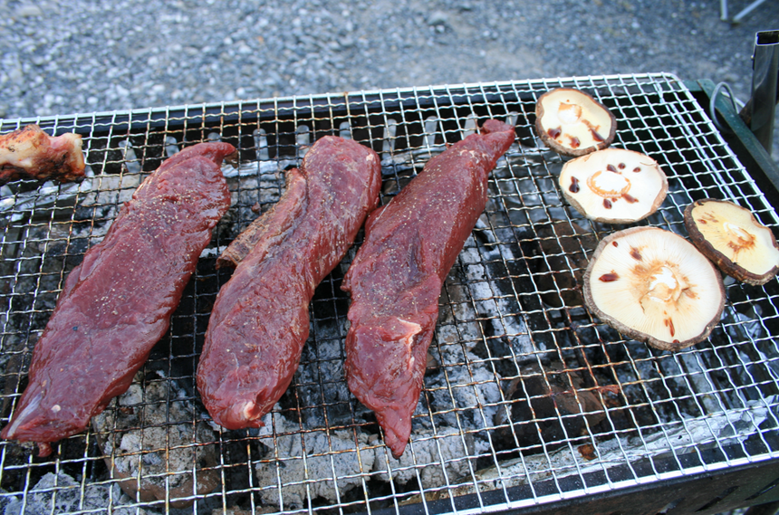 stek z kangura