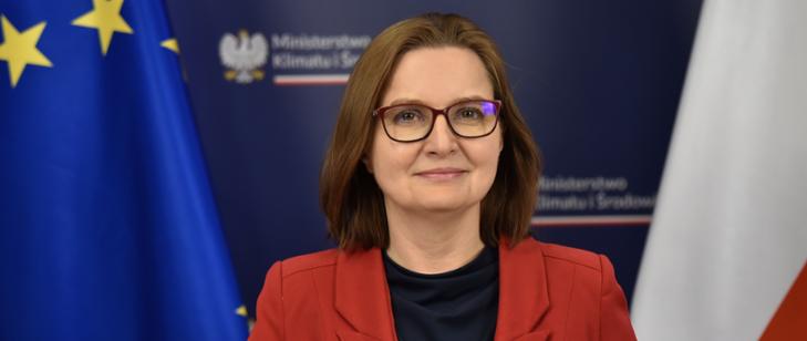 Anita Sowińska