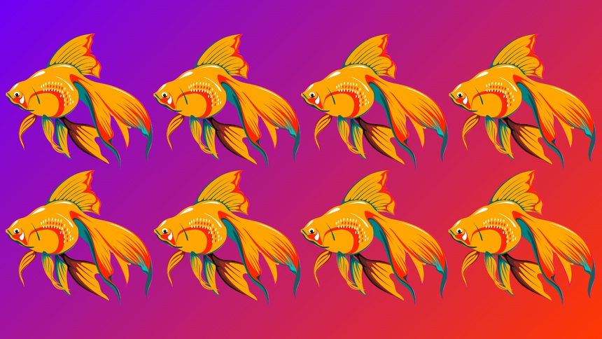 ZłotePrzeboje.pl / Canva / Pixabay