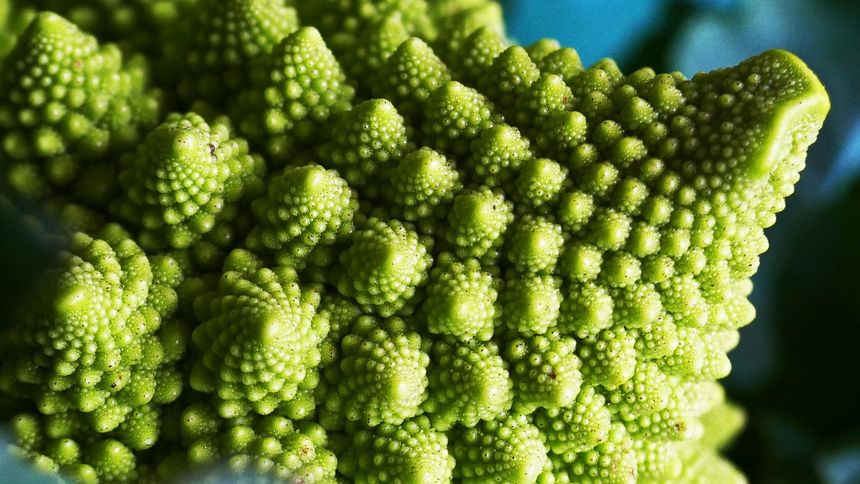 Kalafior romanesco