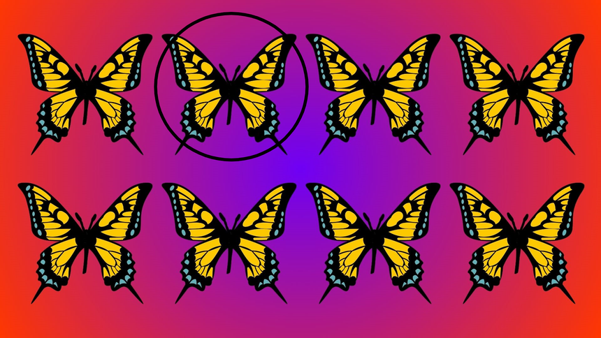 ZłotePrzeboje.pl / Canva / Pixabay