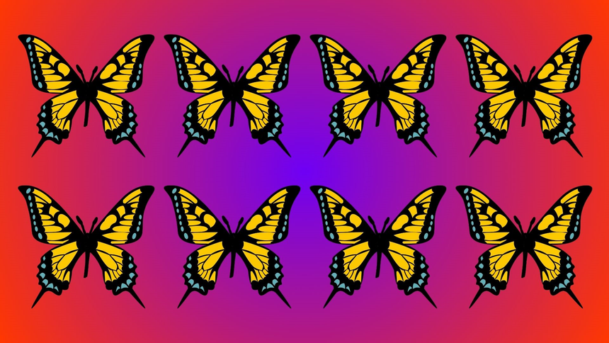 ZłotePrzeboje.pl / Canva / Pixabay