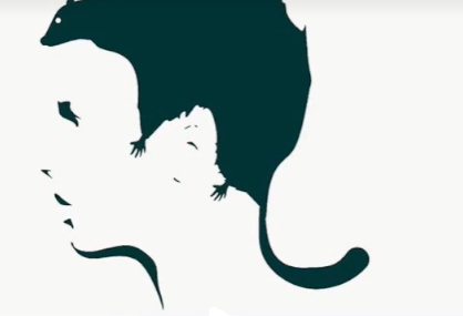 @psychologylove100/TikTok