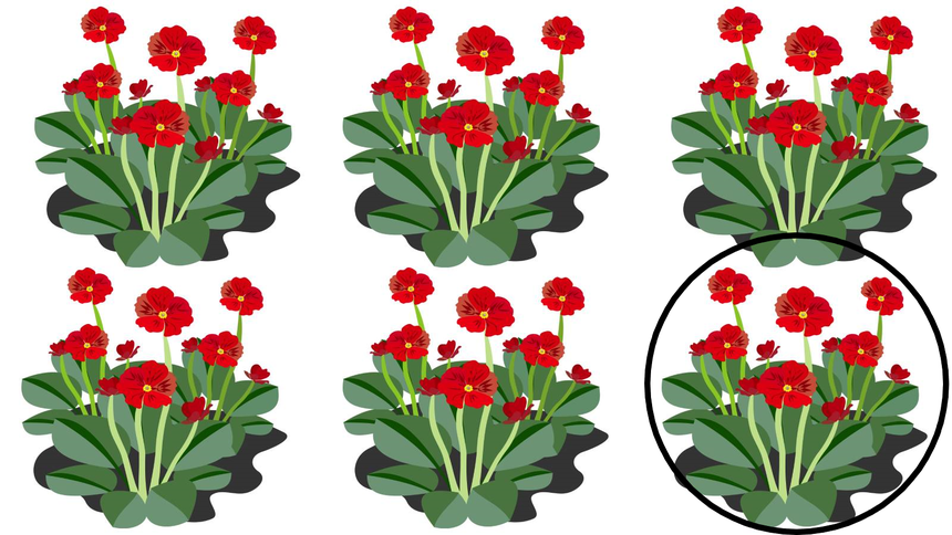 Test na IQ. Fot: Pixabay/ZlotePrzeboje.pl