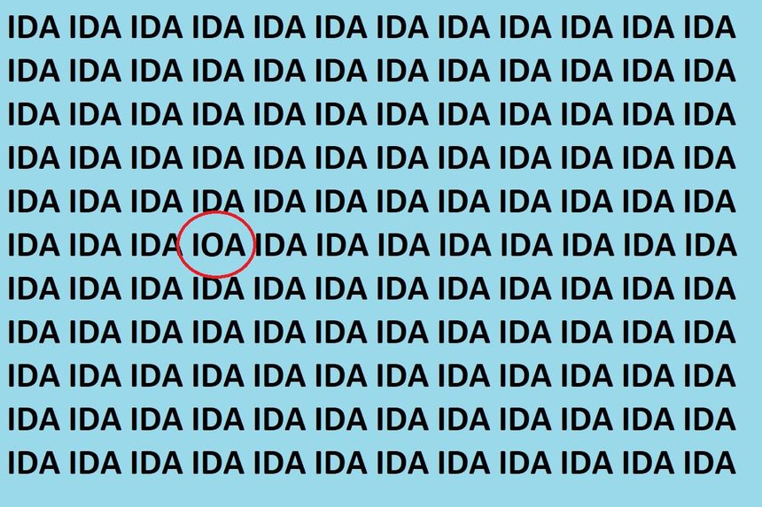 Zagadka IDA. Rozwiązanie