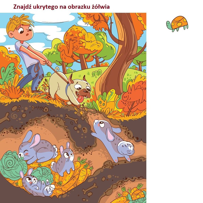 Znajdź ukrytego na obrazku żółwia w 6 sekund