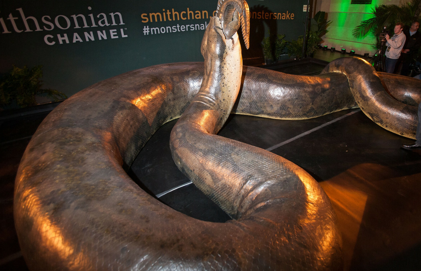 titanoboa rekorody wąż