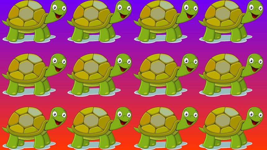Fot. Pixabay / OpenClipart-Vectors / CC0 / Zloteprzeboje.pl