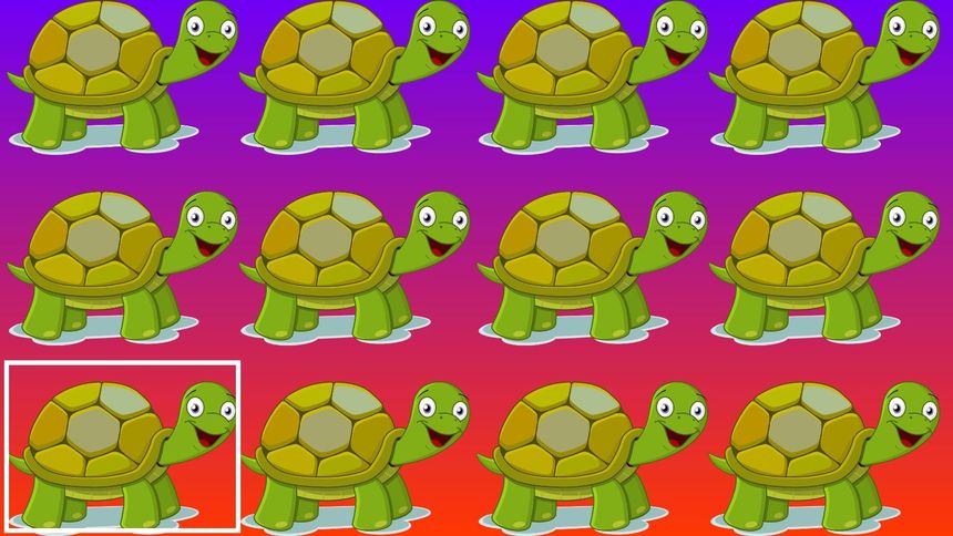 Fot. Pixabay / OpenClipart-Vectors / CC0 / Zloteprzeboje.pl