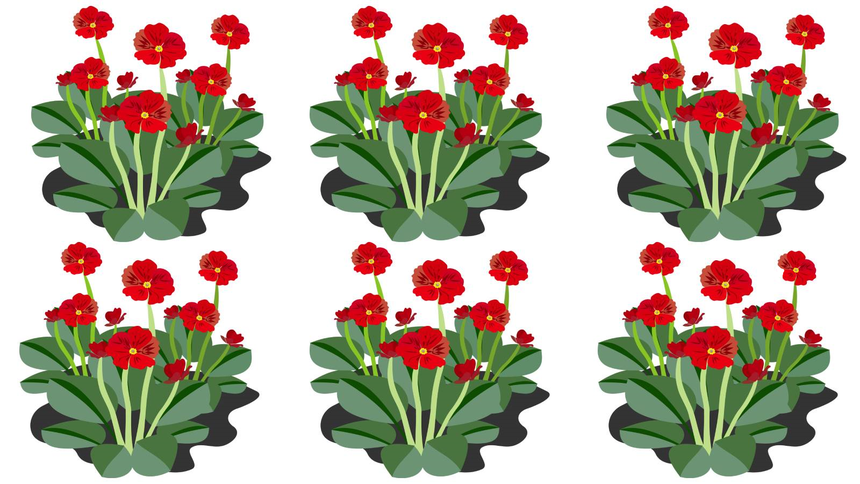 Test na IQ. Fot: Pixabay/ZlotePrzeboje.pl