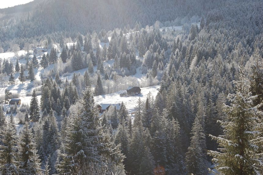 Hala Rycerzowa z góry