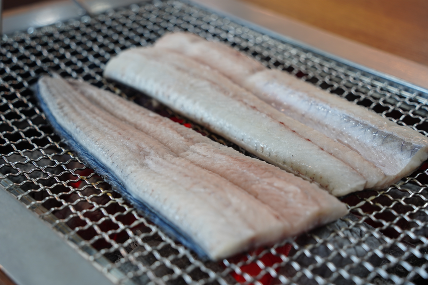węgorz filet