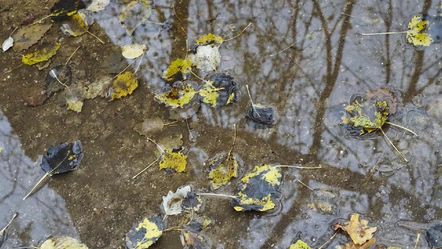 Pogoda na przełomie października i listopada charakteryzuje się dużą zmiennością.