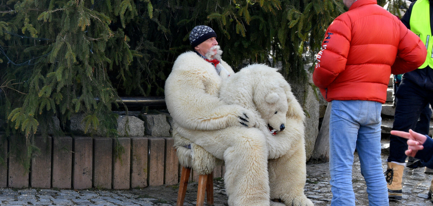 Zakopane, Krupówki i jedyny prawdziwy miś