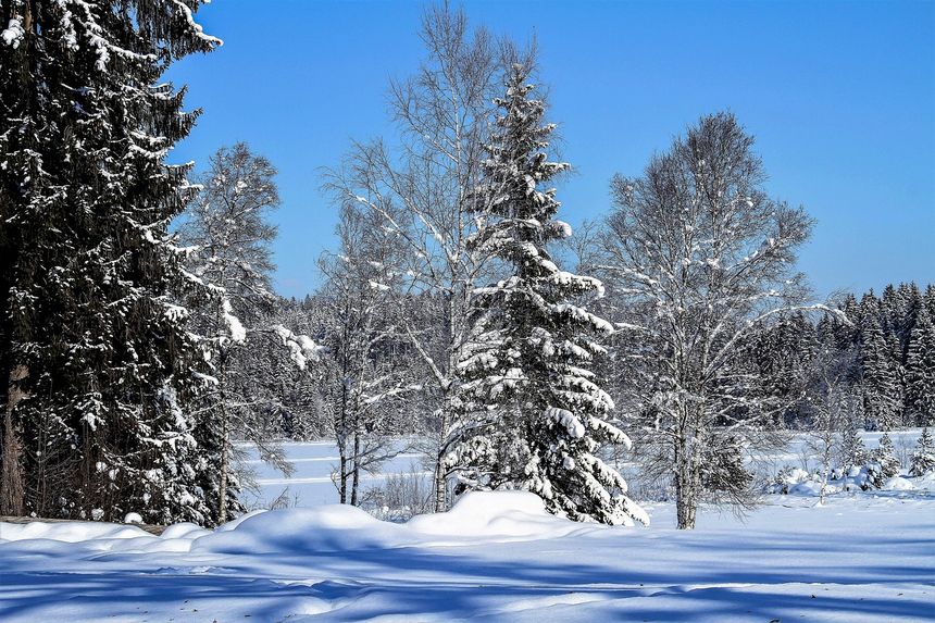 Zima, śnieg