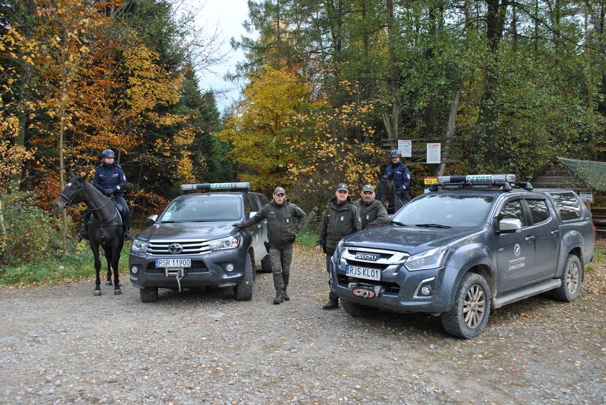 Wsp&oacute;lne patrole Policji i Straży Leśnej można spotkać w lasach całej Polski.