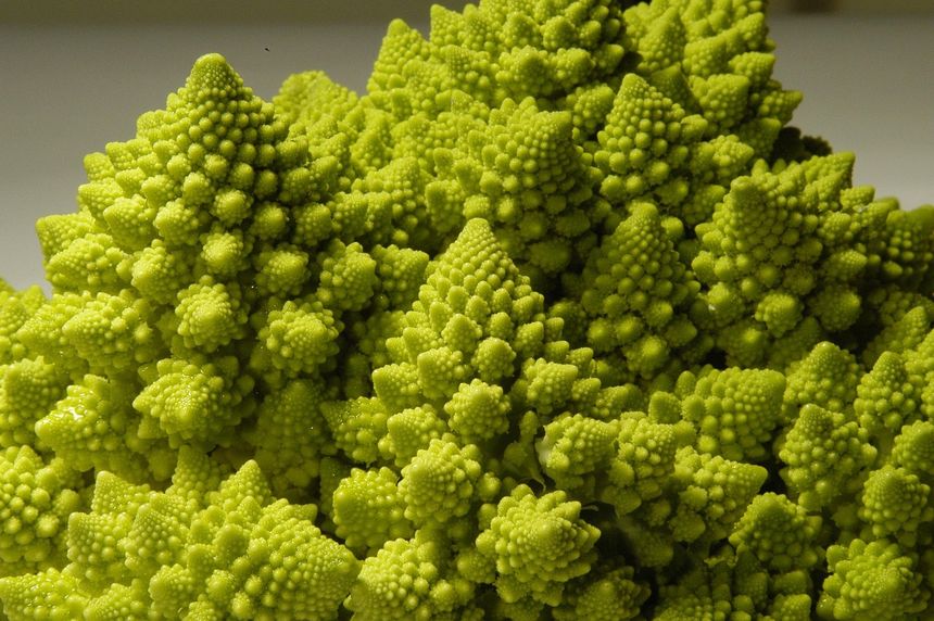 Kalafior romanesco