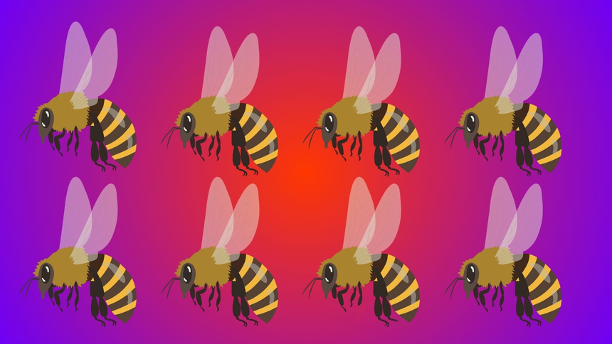 Test na IQ. Fot: Pixabay/ZlotePrzeboje.pl