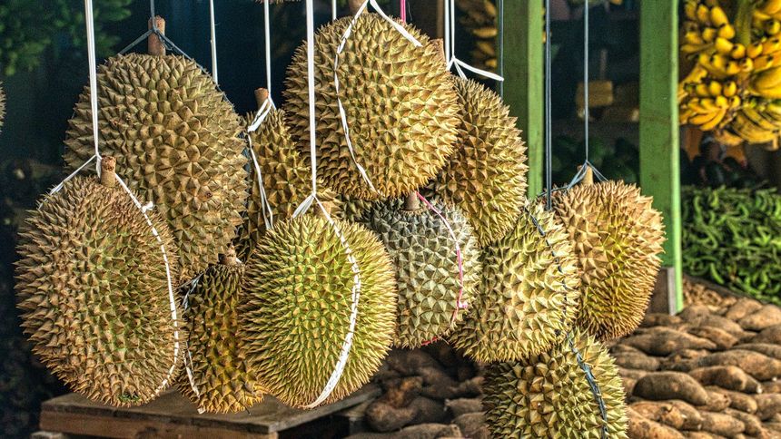 Durian, zdrowy owoc z Azji