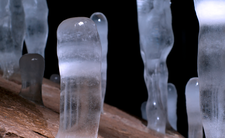 Odkrycie w lodzie, groźne wirusy i bakterie