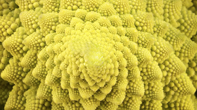 Kalafior romanesco