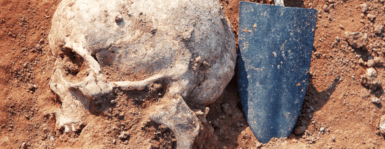 Archeologia, ważne odkrycie i badania DNA