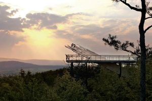 Wizualizacja leśnego molo