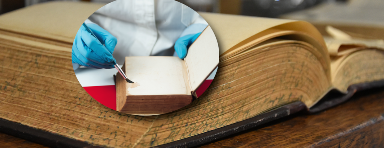 Kto napisał Biblię? Odkrycie i badania