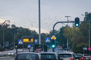 Skrzyżowanie