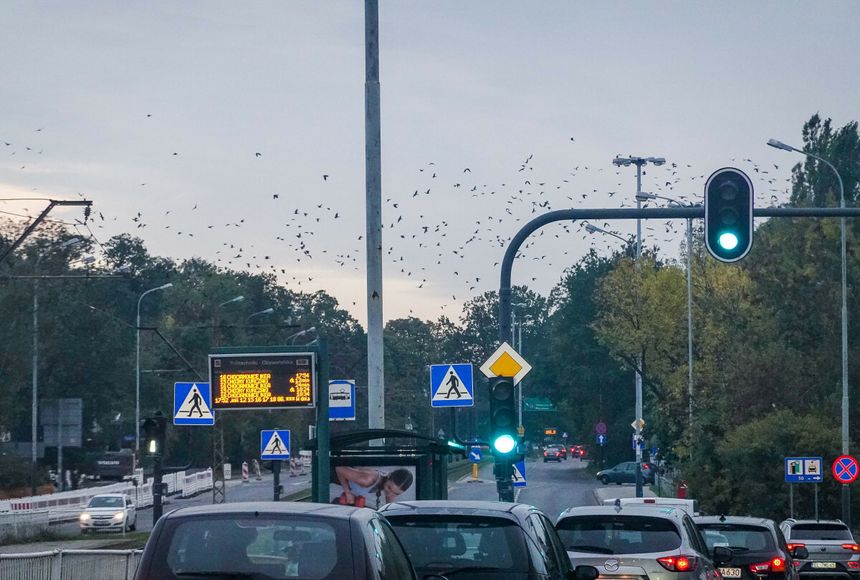 Skrzyżowanie