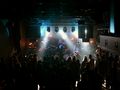 Festiwal zgromadzi blisko 100 artystów