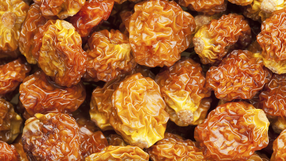 Suszone jagody inkaskie