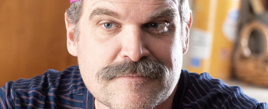 David Harbour w serialu 