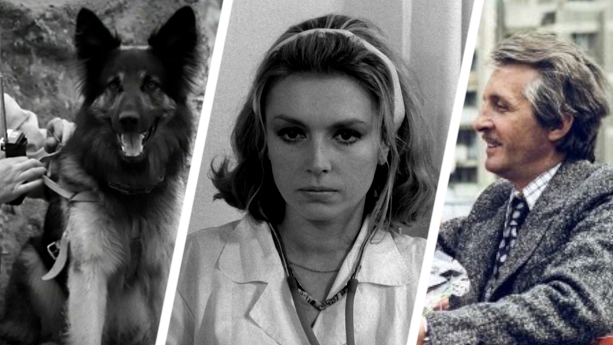 Przygody psa Cywila, Doktor Ewa, Czterdziestolatek - kadry z seriali PRL