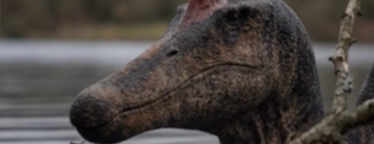 Spinozaur, nowy gatunek dinozaura