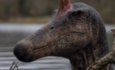 Spinozaur, nowy gatunek dinozaura