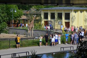 ZOO we Wrocławiu