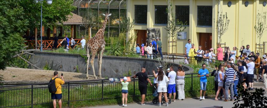 ZOO we Wrocławiu
