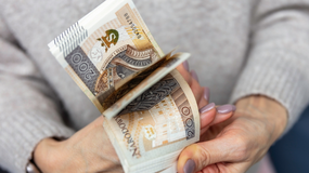 Kobieta i pieniądze