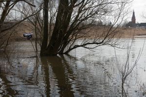 Drwęca wylała w 2017 roku