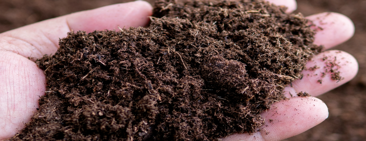 Ziemia kompostowa
