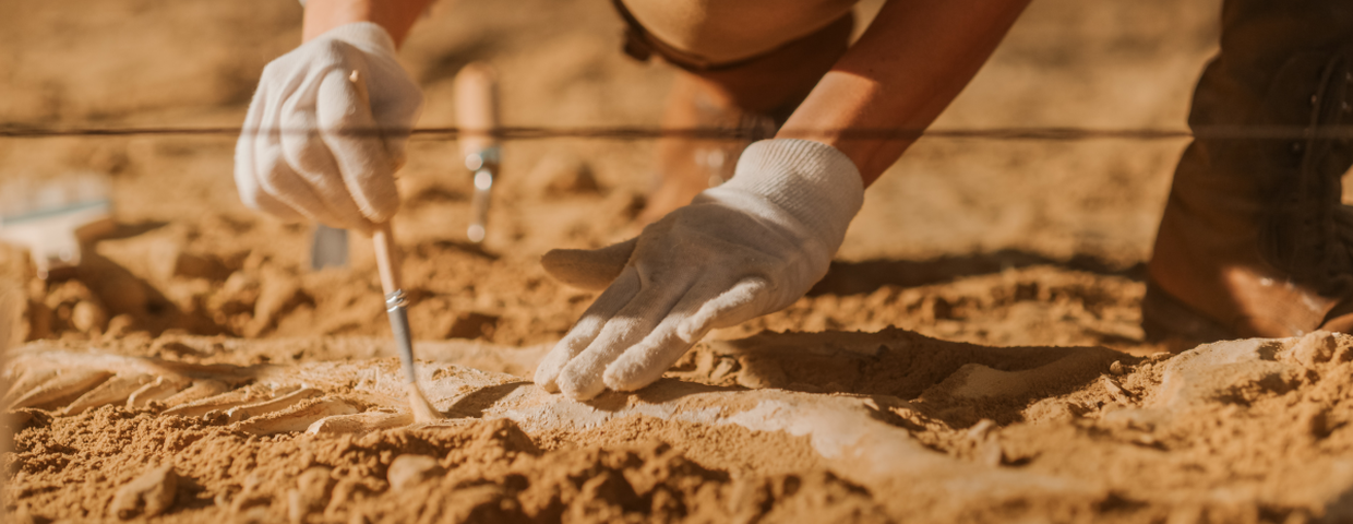 Polscy archeolodzy i odkrycie w Sudanie