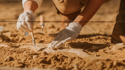 Polscy archeolodzy i odkrycie w Sudanie