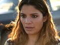 Królestw zwierząt
