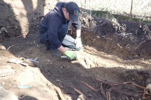 Archeolodzy, odkrycie