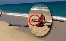 ryba zagłady na plaży zwiastuje koniec świata?