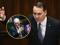 Sikorski: Antek, świrze
