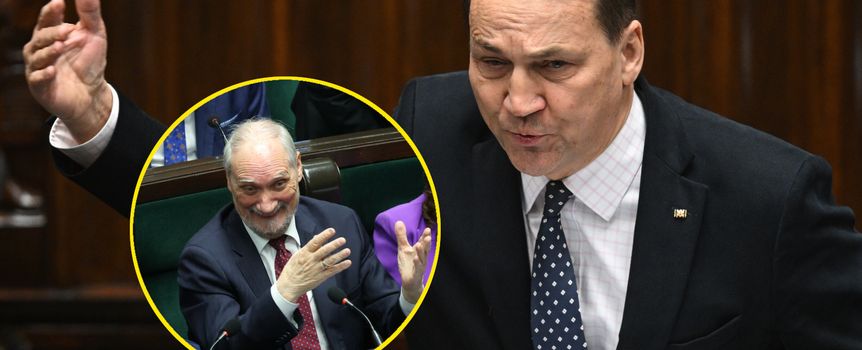 Sikorski: Antek, świrze