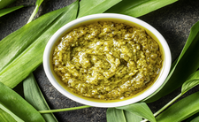 Czosnek niedźwiedzi, pesto z czosnku niedźwiedziego