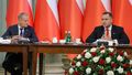 Donald Tusk i Karol Nawrocki